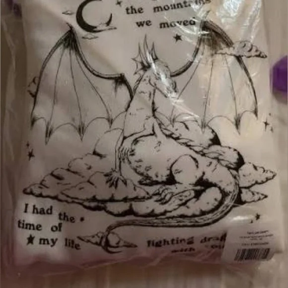 🎵NIP! Taylor Swift Speak Now Fighting Dragons With You Hoodie - Picture 3 of 5